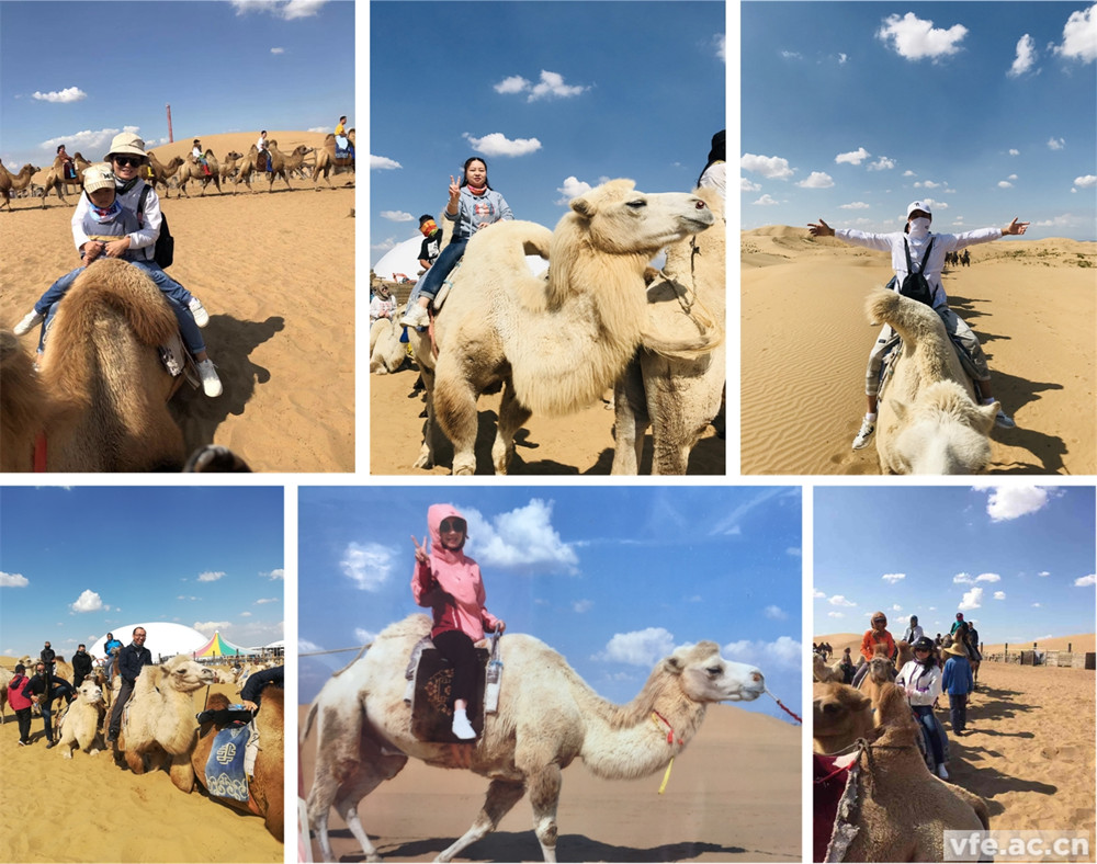 騎著駱駝走沙漠，不要太穿越