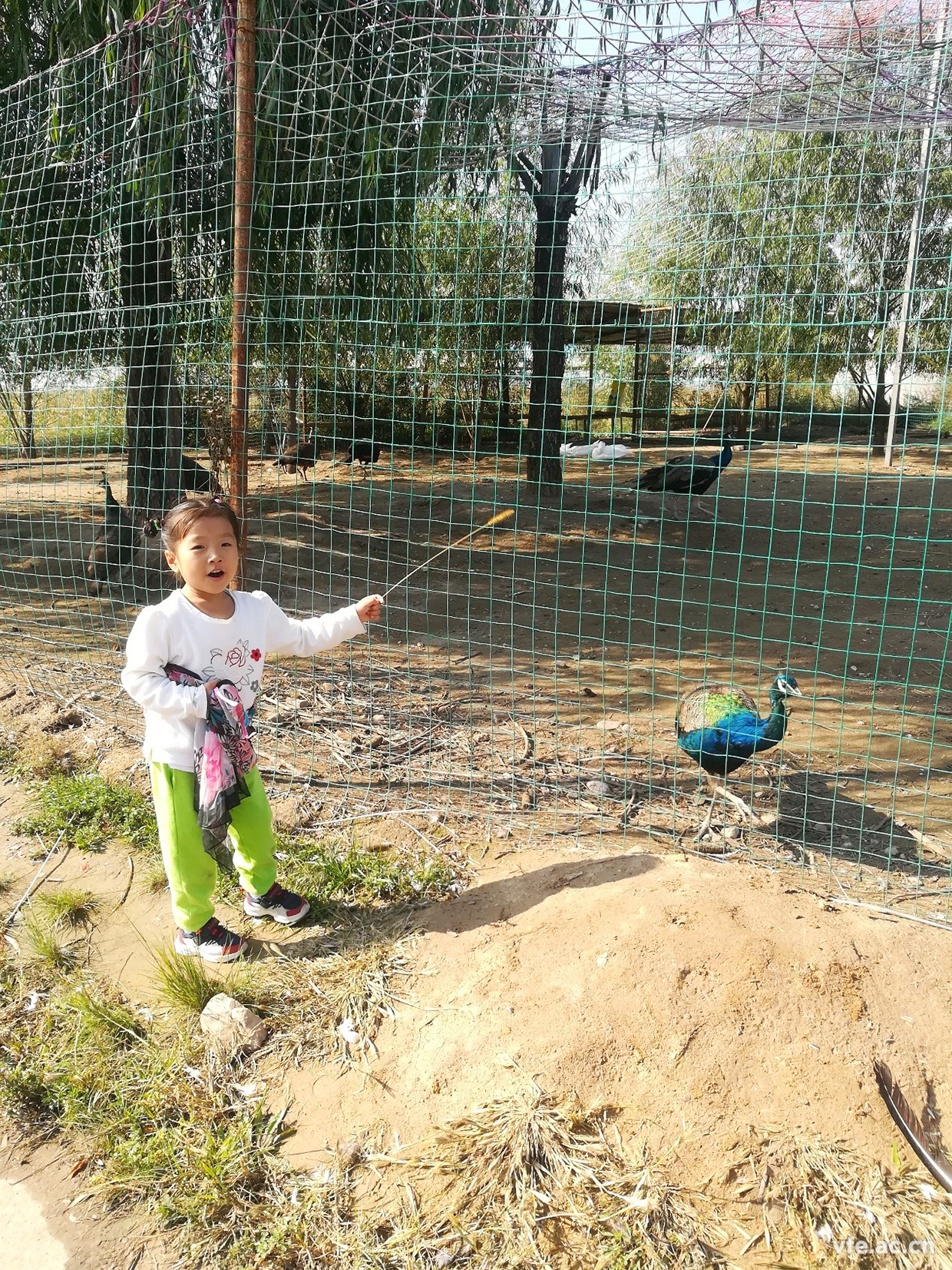 內(nèi)蒙之行，難忘之旅