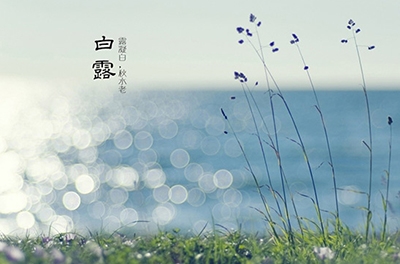 白露降，秋意濃