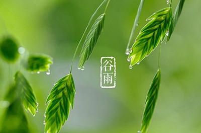 谷雨，播種希望